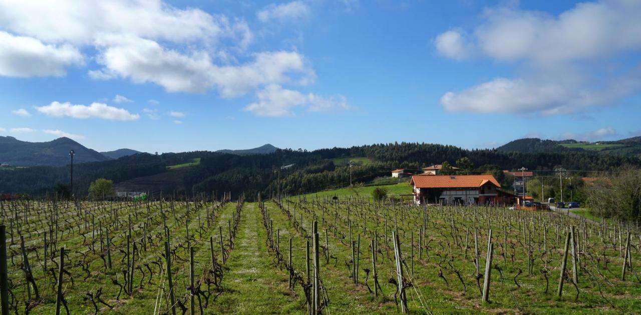 H&Ap Rural Merrutxu Ibarrangelu Εξωτερικό φωτογραφία