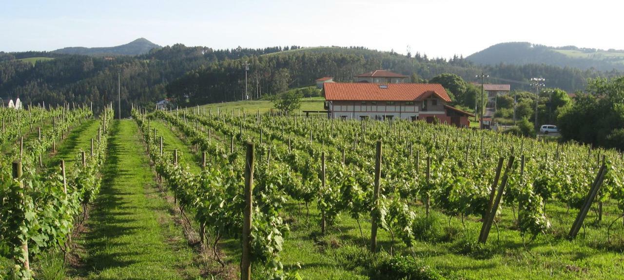 H&Ap Rural Merrutxu Ibarrangelu Εξωτερικό φωτογραφία